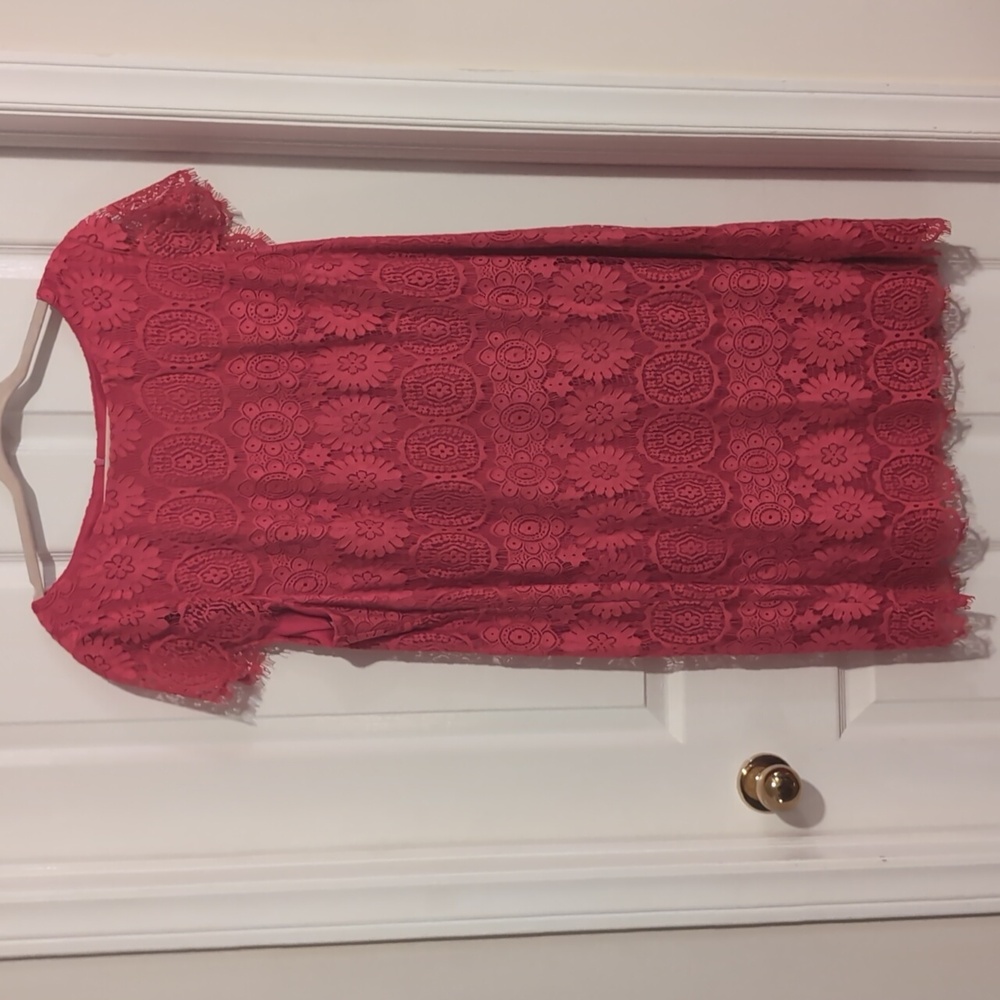 Eliza J Pink Lace Dress Size 18W